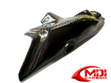 Carbon Fiber 10R 2016-2020 Exhaust Pipe Guard for Kawasaki ZX_2
