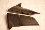 Kawasaki Carbon Fiber ZX10 Fender Extentions  - MDI CarbonFiber - 3