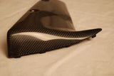 Kawasaki Carbon Fiber ZX10 Fender Extentions  - MDI CarbonFiber - 4