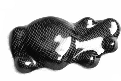 Triumph Carbon Fiber Street Triple Pickup Cover Fits 2007 2010  - MDI CarbonFiber - 1