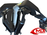 100% Carbon Fiber Side Panel BMW S1000XR 2021+