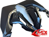 100% Carbon Fiber Side Panel BMW S1000XR 2021+