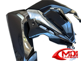100% Carbon Fiber Side Panel BMW S1000XR 2021+