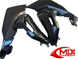 100% Carbon Fiber Side Panel BMW S1000XR 2021+