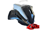100% Carbon Fiber Side Panel BMW S1000XR 2021+