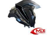 100% Carbon Fiber Side Panel BMW S1000XR 2021+