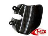 BMW K1200R, K1200S (2005-08) K1300R, K1300S (2009-16) Clutch Cover Carbon Fiber