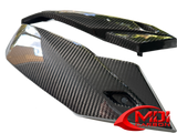 BMW 2021-2023 S1000R REAL Carbon Fiber Lower Side Panels Fairing_2