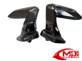 Bmw Carbon Fiber Cylinderhead Cover BMW R1250RS 20212023