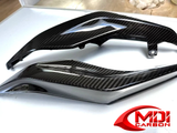 BMW R1200 GS Front nose Carbon Fiber