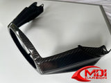 BMW R 1100S Boxer Cup Carbon Fiber Tail Rear Light Cover Surrounding_1