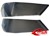 Buell Carbon Fiber Frame Covers fits only models XB9 XB12._1