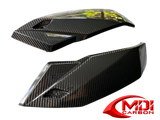 2021-2023 BMW S1000R Lower Side Panels - 100% Carbon Fiber