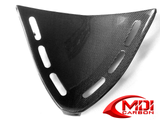 Kawasaki Carbon Fiber ZX12R 2000 2005 V Fairing