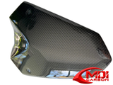 REAL 100% Carbon Fiber Rear Windshield Cowl KAWASAKI Z1000 2014-2022