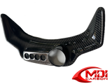 Yamaha Carbon Fiber TDR 250 Dash Cover Front Nose Cowling