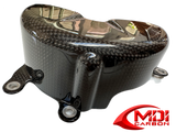 100% Carbon Fiber Engine Cover L Ducati Panigale V4 2025+
