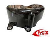 100% Carbon Fiber Engine Cover L Ducati Panigale V4 2025+